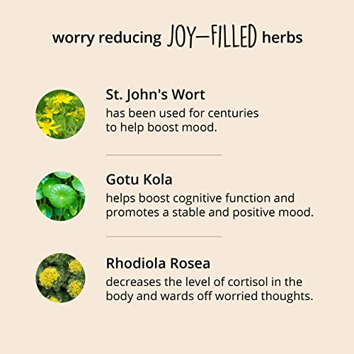 Joy-Filled Mood Support Supplement with St Johns Wort | Helps Calm The Mind & Body, Stress Relief Energy Supplements | 100% Plant-Based | Ashwagandha, Rhodiola, Eleuthero | Herbal Adaptogens, 180 ct