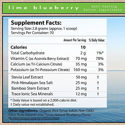 Superieur Electrolytes–Plant Based Electrolyte Supplement w/Sea Minerals for Hydration & Recovery–Keto Friendly, Non-GMO, Zero Sugar, Vegan, Healthy Sports Drink Powder–Lime Blueberry (70 Servings)