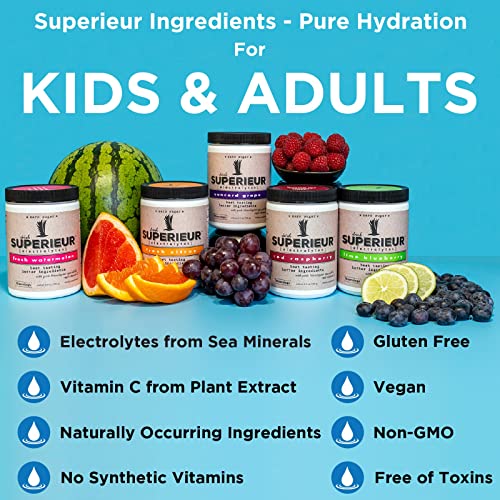 Superieur Electrolytes–Plant Based Electrolyte Supplement w/Sea Minerals for Hydration & Recovery–Keto Friendly, Non-GMO, Zero Sugar, Vegan, Healthy Sports Drink Powder–Lime Blueberry (70 Servings)