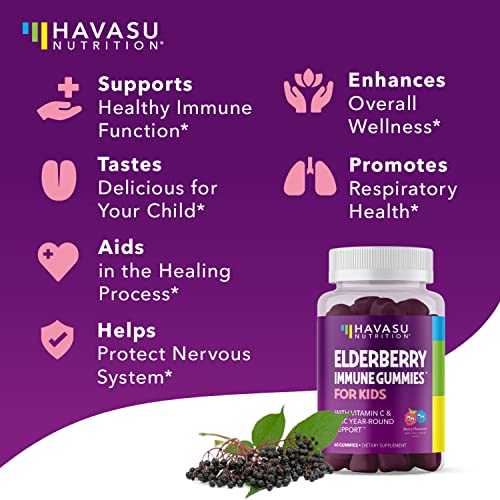 HAVASU NUTRITION Elderberry Gummies for Kids with Zinc & Vitamin C | Potent Herbal Supplement with Antioxidants to Support Immune Defense | Vegan Gummies