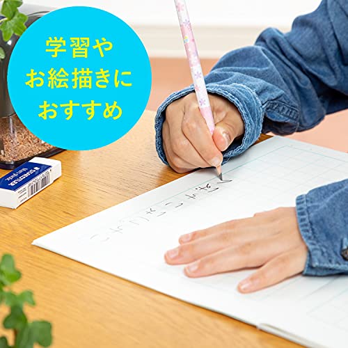 STAEDTLER 13075-BC12 Pencil, B, Pink Ones Series, Dozen, 1 Dozen