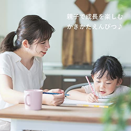 STAEDTLER 13075-BC12 Pencil, B, Pink Ones Series, Dozen, 1 Dozen