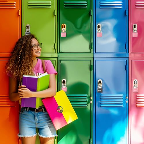 Pink Keyed Padlock Set, 2 Pack 1.1 Inch