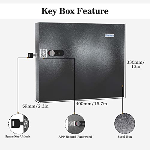 48-Key Wall Mount Lock Box Organizer