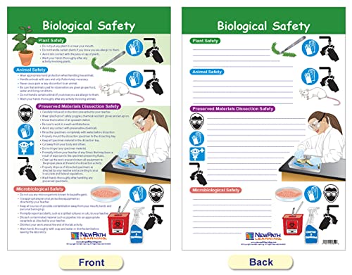 Safety in The Lab Bulletin Board Charts Set