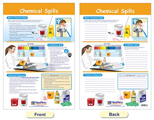 Safety in The Lab Bulletin Board Charts Set