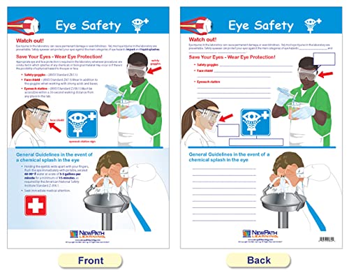 Safety in The Lab Bulletin Board Charts Set