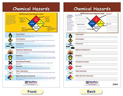 Safety in The Lab Bulletin Board Charts Set