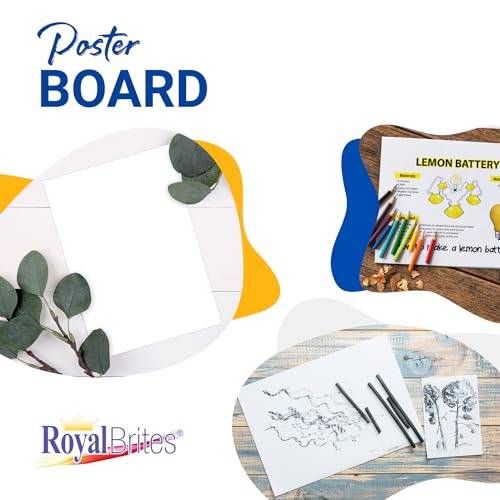Royal Brites 22” x 28” White Poster Board 100 Pack