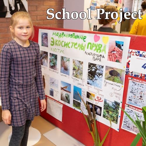 50PCS White Poster Board - 22"x28" for Projects