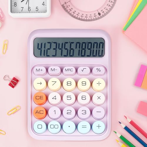 DANRONG Large Button Mechanical Switch Calculator - Pink