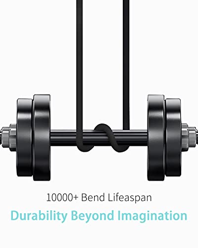 Quick Charge USB Type C Cable for Earbuds