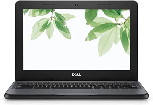 Computers, Laptops and Chromebooks