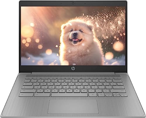 HP Chromebook 14" Laptop for Students, Modern Gray
