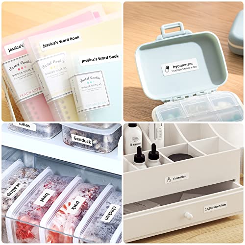 NIIMBOT D110 Portable Bluetooth Label Maker