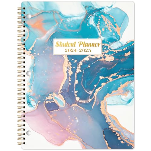 2024-2025 Student Planner with Stickers, 9" x 11