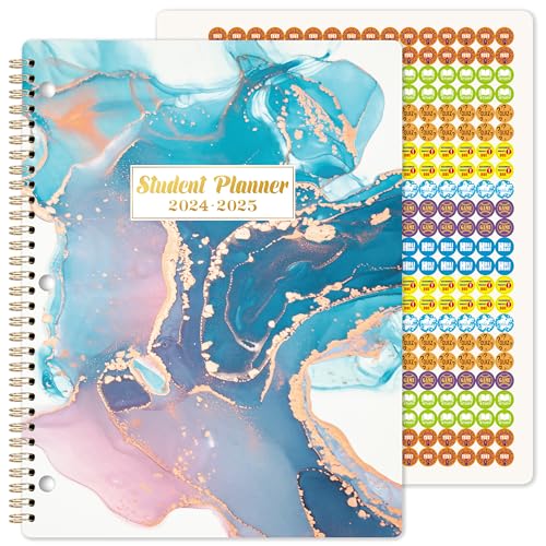 2024-2025 Student Planner with Stickers, 9" x 11