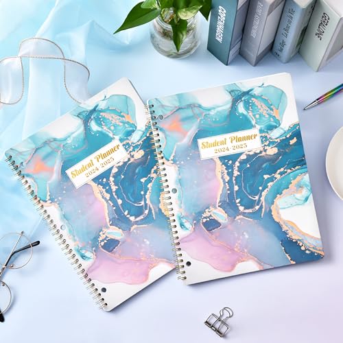 2024-2025 Student Planner with Stickers, 9" x 11