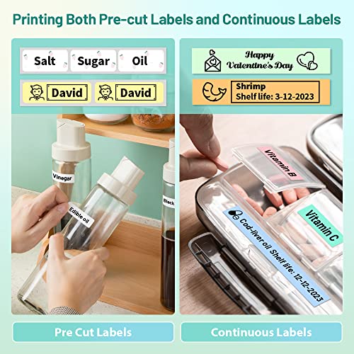 Phomemo D30 Portable Bluetooth Label Maker