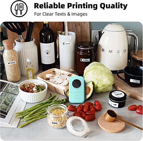 Phomemo D30 Portable Bluetooth Label Maker