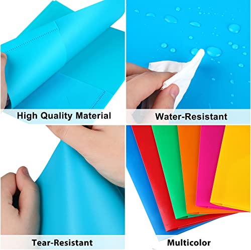 Colorful Heavy Duty Two Pocket Plastic Folders