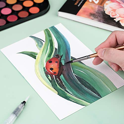 48-Piece Watercolor Paint Set with Brushes and Palette