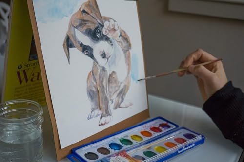 Color Swell Bulk Watercolor Paints - 36 Sets