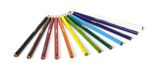 Crayola Assorted Colouring Pencils - 12 Pack