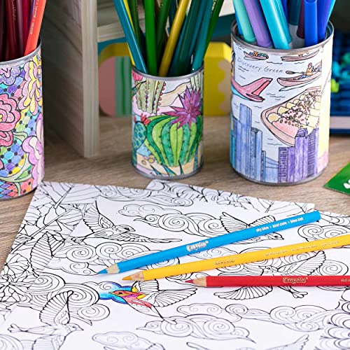 Crayola Assorted Colouring Pencils - 12 Pack