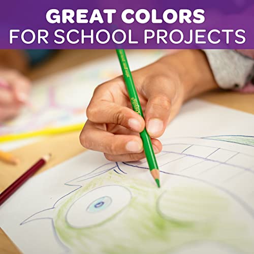 Crayola Assorted Colouring Pencils - 12 Pack