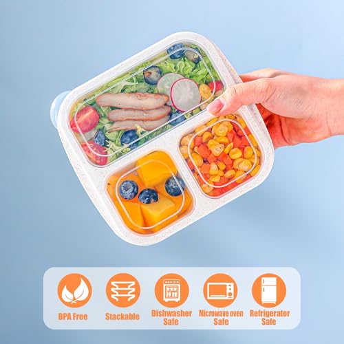4-Pack Bento Box Set for Kids' Lunches