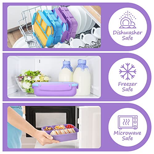 QQKO Purple Bento Lunch Box with 4 Compartments
