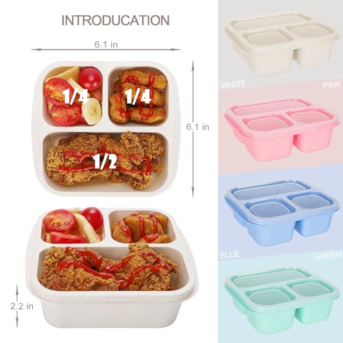 4-Pack Bento Box Set for Kids' Lunches