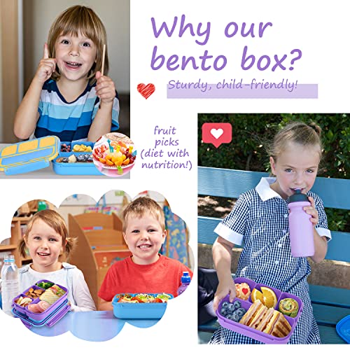 QQKO Purple Bento Lunch Box with 4 Compartments