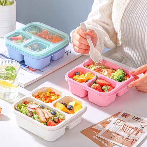 4-Pack Bento Box Set for Kids' Lunches