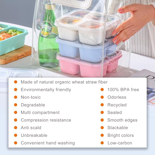 4-Pack Bento Box Set for Kids' Lunches