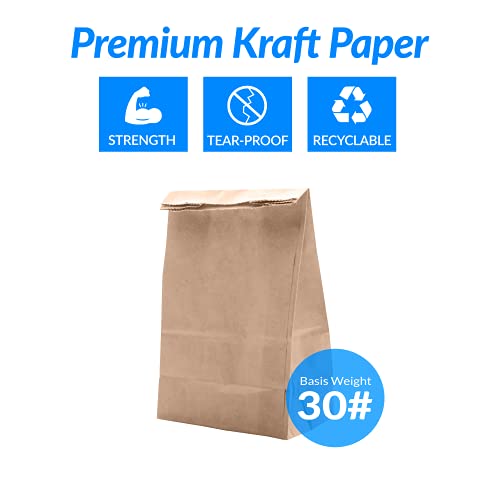 Bulk Kraft Paper Lunch Bags - 500 Count