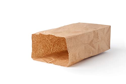 Brown Paper Lunch Bags - Pack of 100