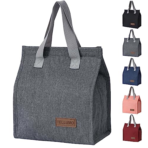 Insulated Large Lunch Bag for School and Travel