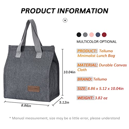 Insulated Large Lunch Bag for School and Travel