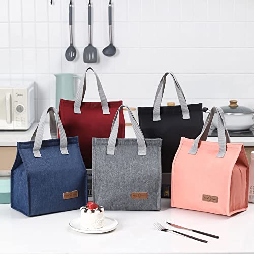 Insulated Large Lunch Bag for School and Travel