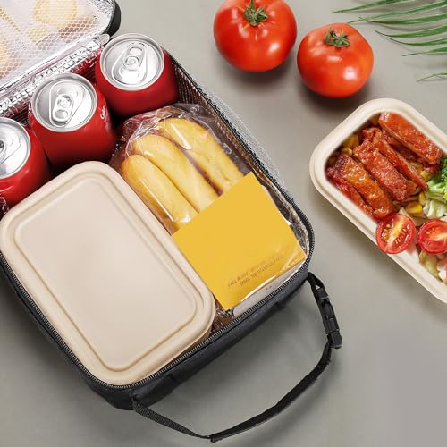 AYEANY Insulated Large Capacity Lunch Bag (Black)