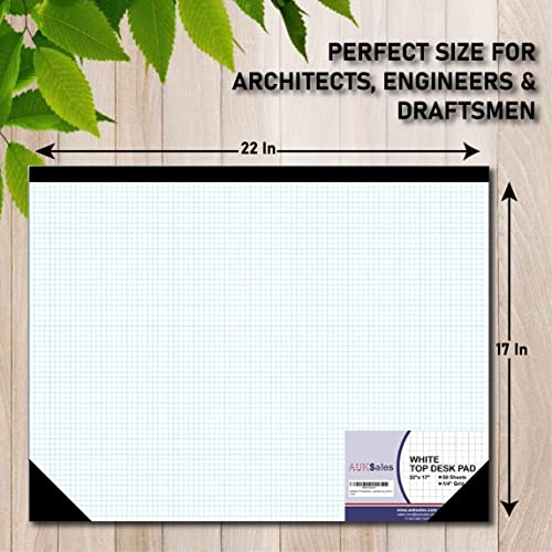 Sturdy Graph Desk Pad 22"x17" - 50 Sheets
