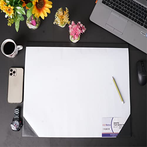 Sturdy Graph Desk Pad 22"x17" - 50 Sheets