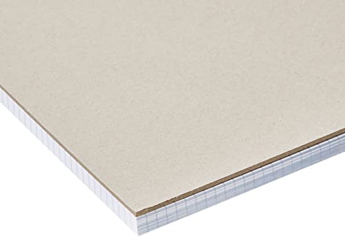 Amazon Basics Quad-Ruled Graph Paper Pad, 2-Pack