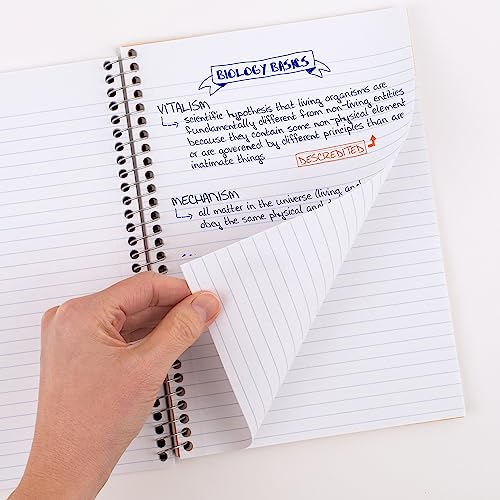 Five Star 6-Pack Small Spiral Notebooks