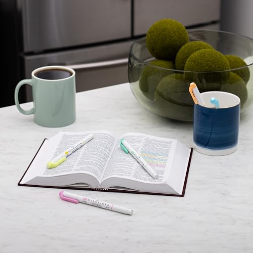 Zebra Mildliner Highlighters 5-Pack Multicolor