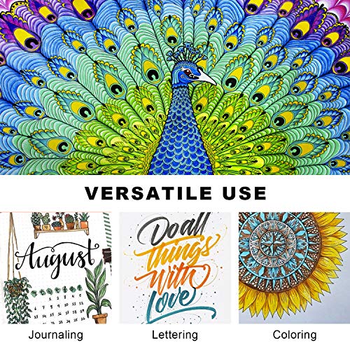 Piochoo 24 Dual Brush Marker Pens Set