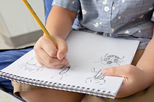 Ticonderoga Pre-Sharpened Yellow Pencils, 10 Count