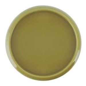 100PCS Green Discbound Expansion Discs for Planners